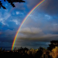 Rainbow in Monterey 